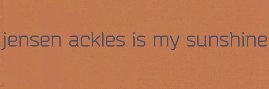 lipkoeva's profile banner image