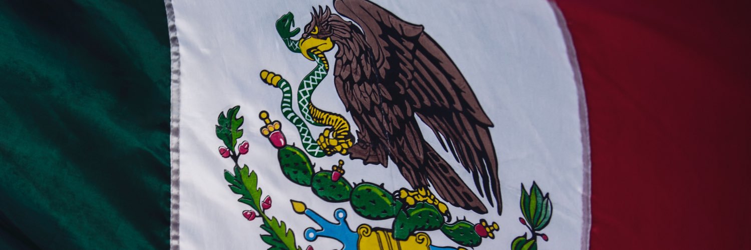 diego_arreolaf's profile banner image