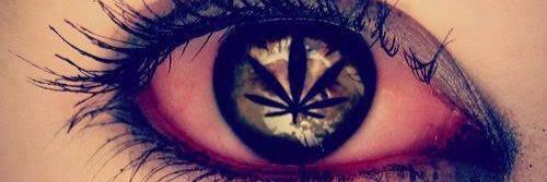 marla_edith's profile banner image