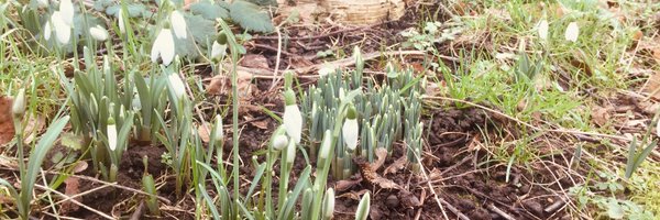 seedohope Profile Banner