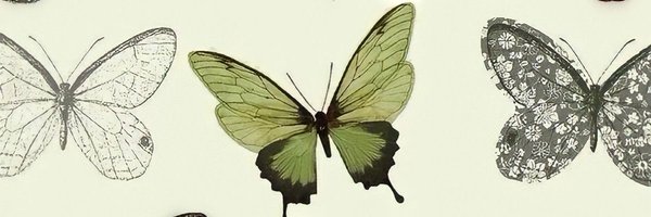 adrinhaw Profile Banner