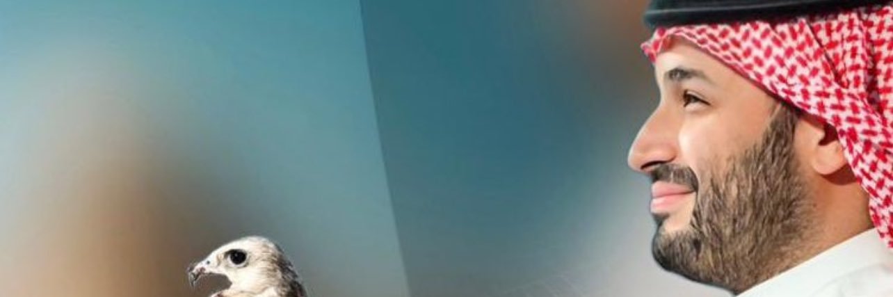 motheroftow's profile banner image