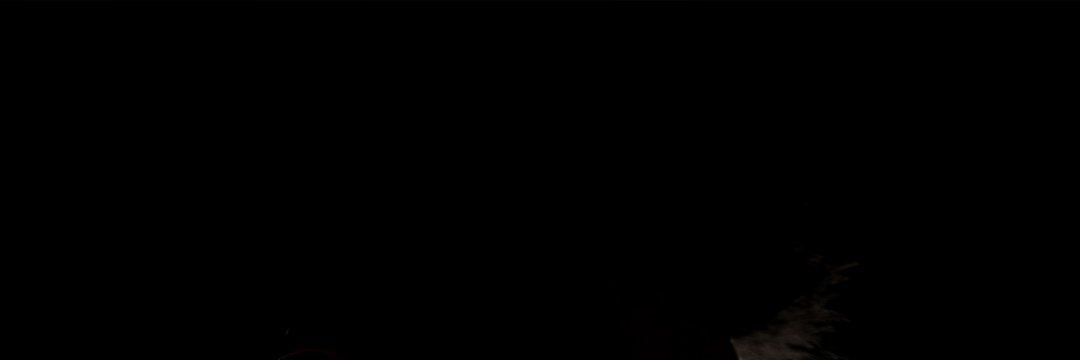 YOUR UNCLE banner