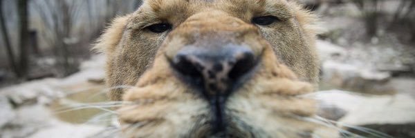docdoudou's profile banner image