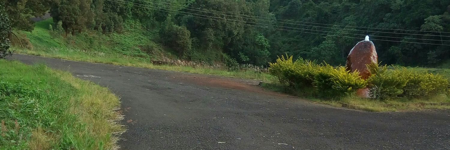 SinguMorcafee69's profile banner image