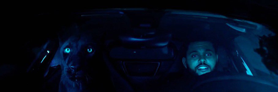 SIMBOTI 🐆 banner