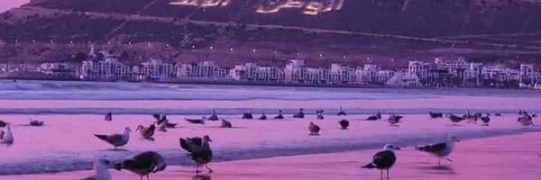 ezza_fadel Profile Banner