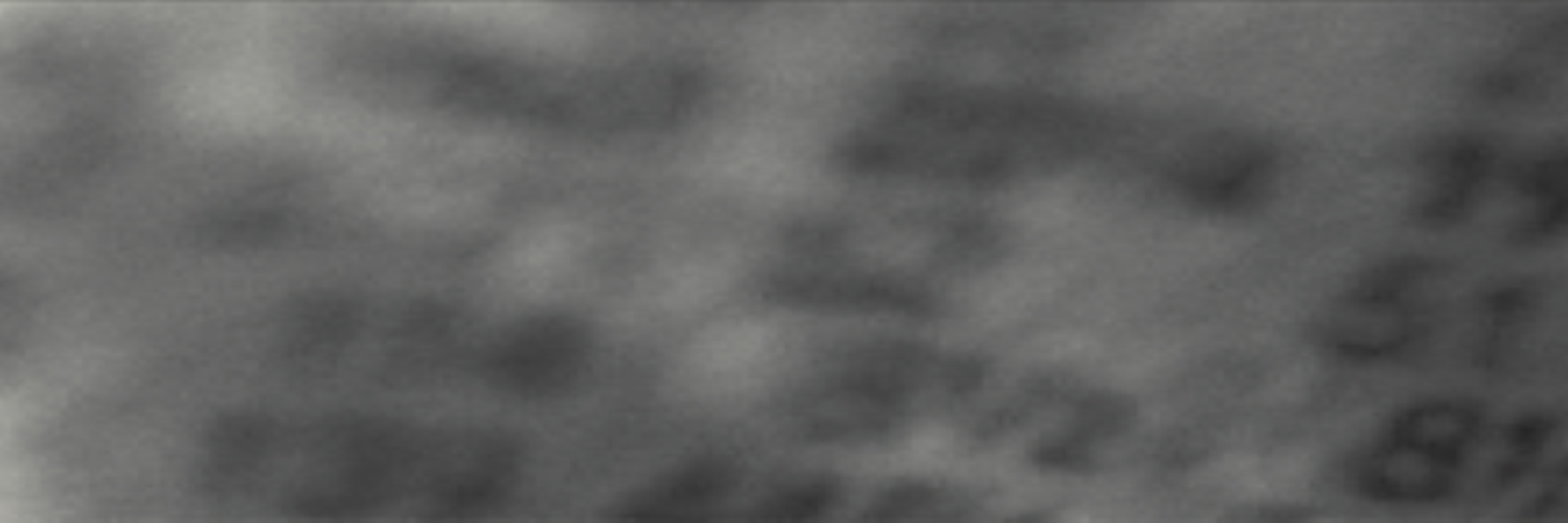 Michael Clark banner