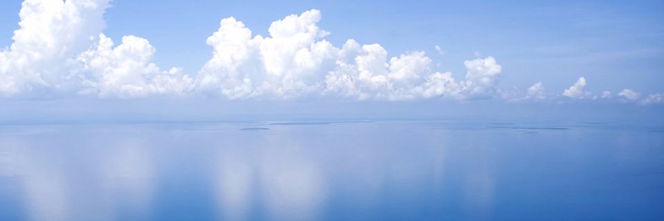 yelitzasc's profile banner image