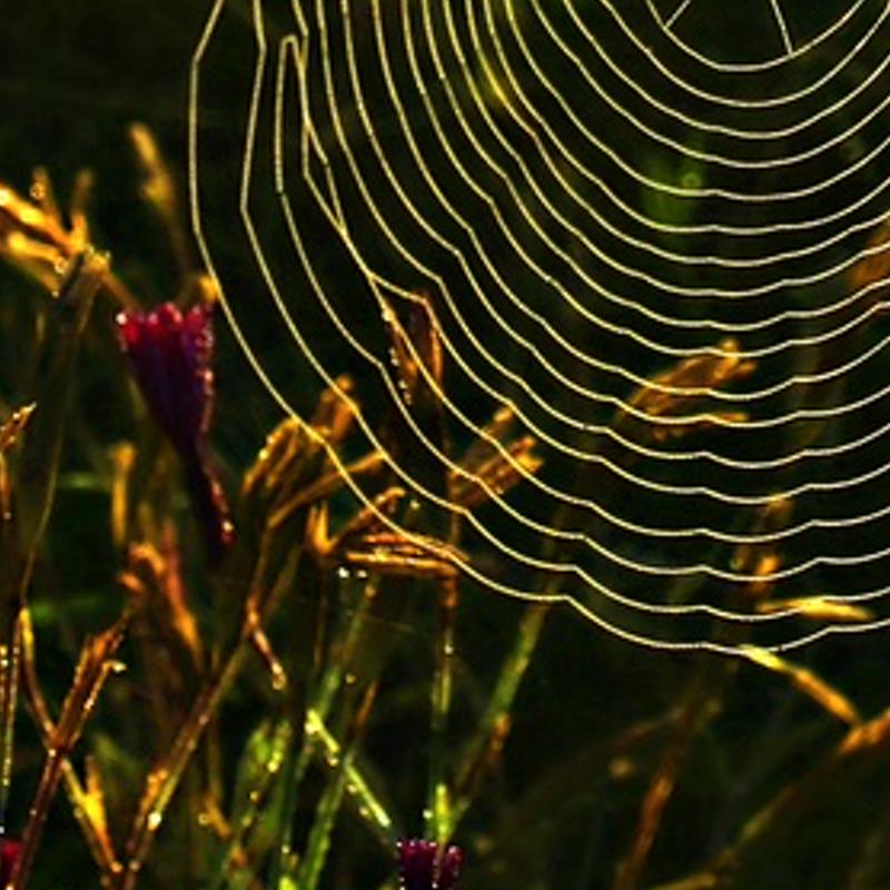 owomip's profile banner image