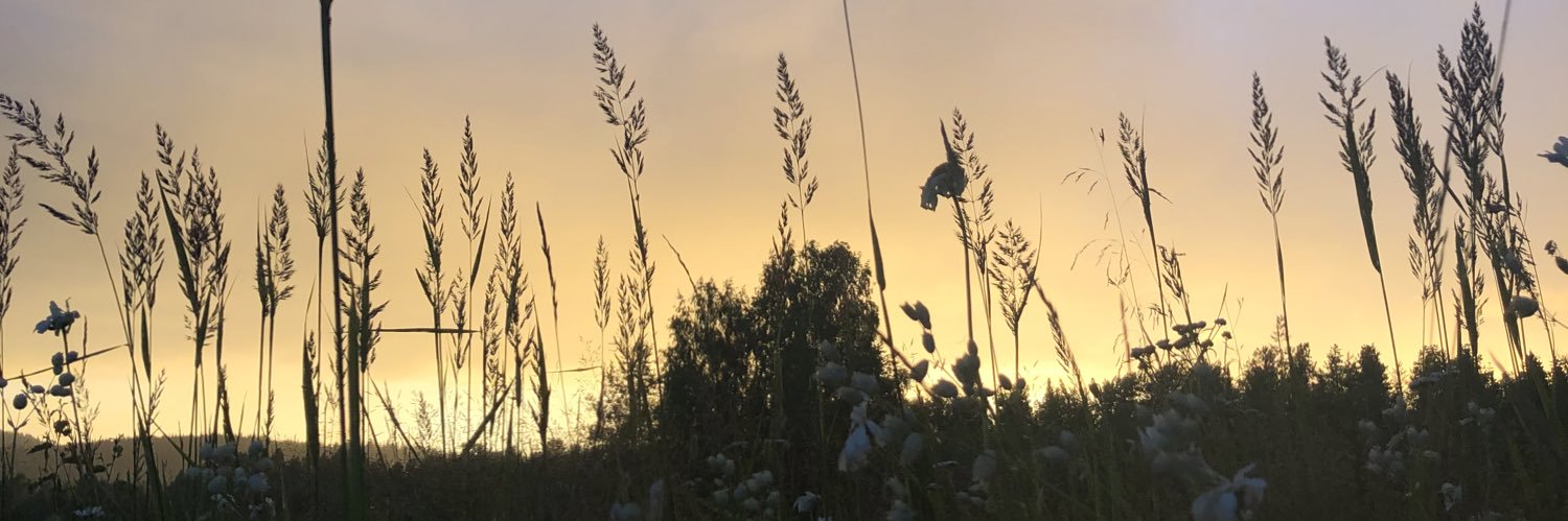 ElisaSuutari's profile banner image