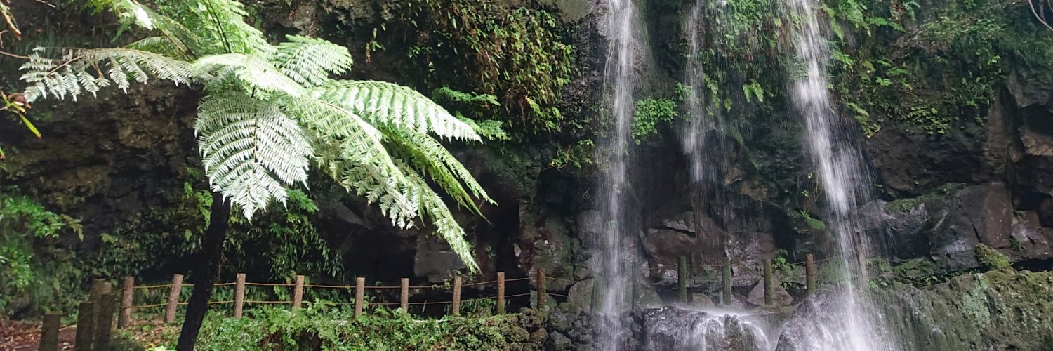 tobimura128's profile banner image
