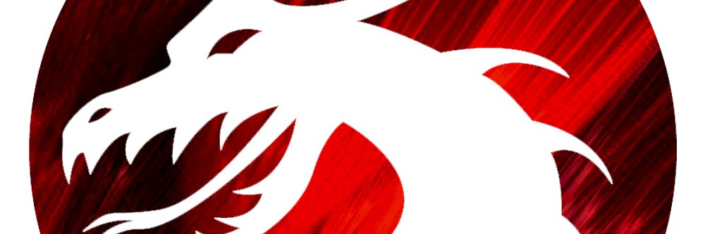 KiraDragon911's profile banner image