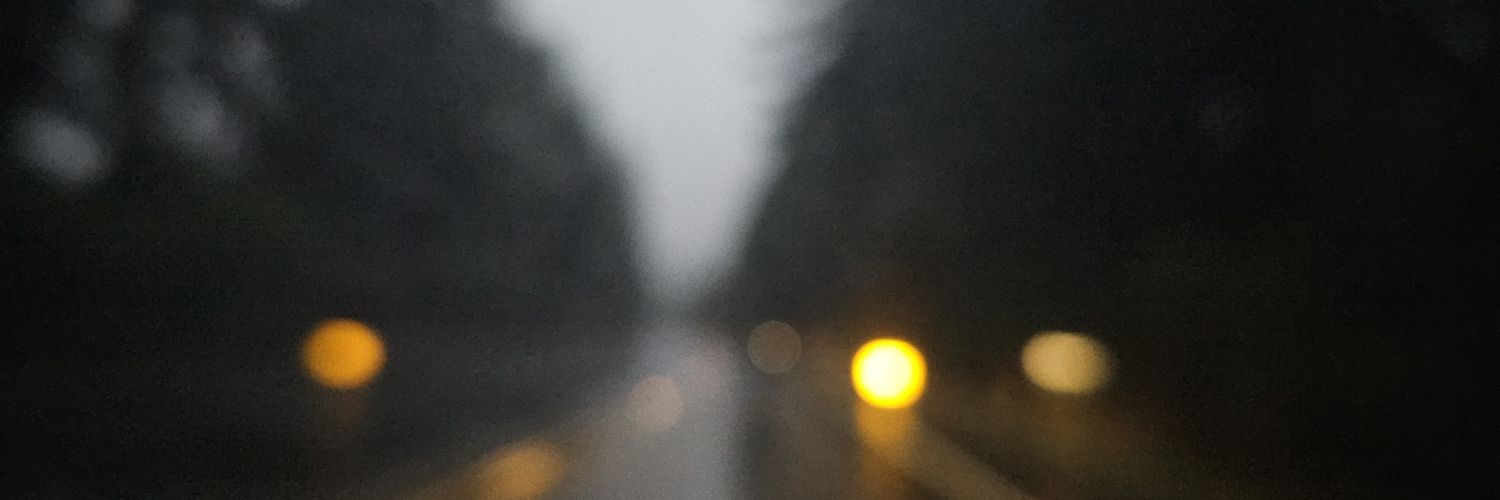 CentralMeat_'s profile banner image