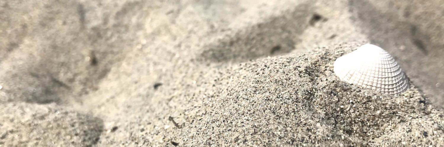 _anaacaaroll's profile banner image
