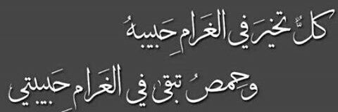 Noura homs🇸🇾 banner
