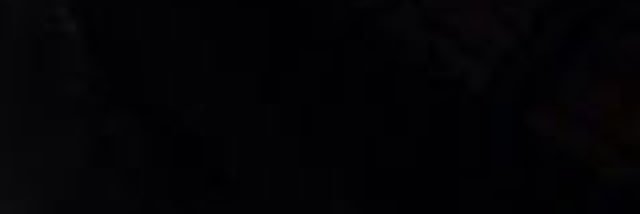curlsfxr's profile banner image