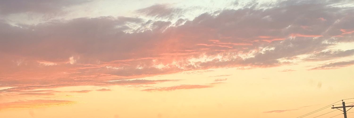 NicoTor25482871's profile banner image