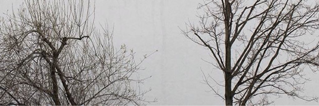 Jaume Ibáñez 🎧 banner