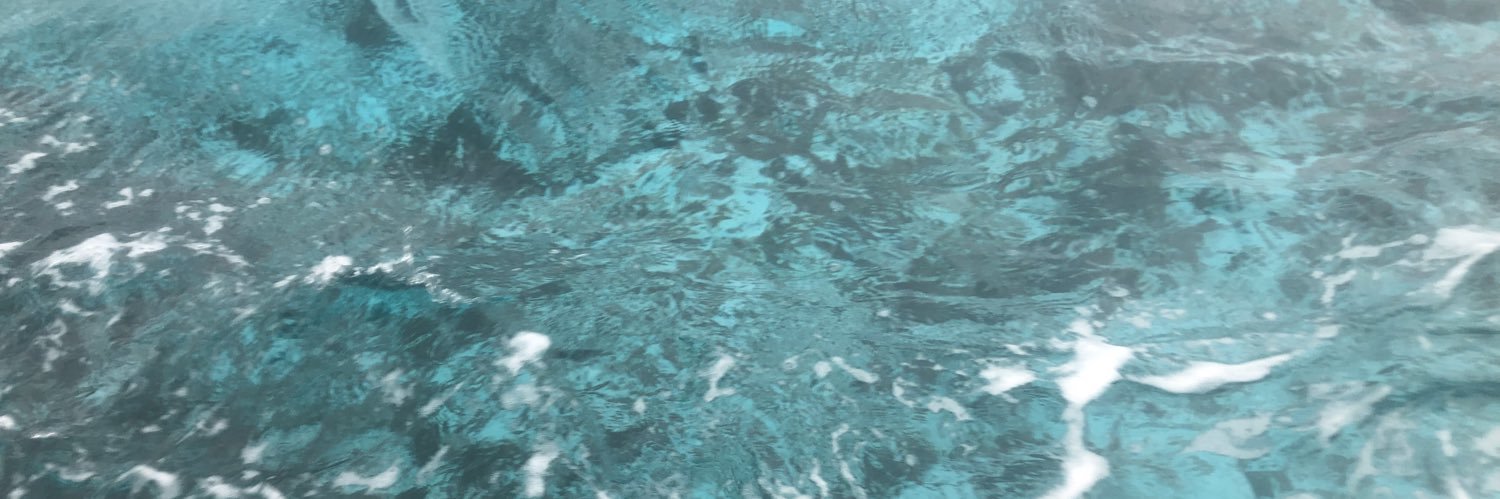 SalomeSSF's profile banner image