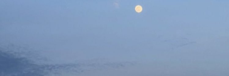 NizzMehdi's profile banner image
