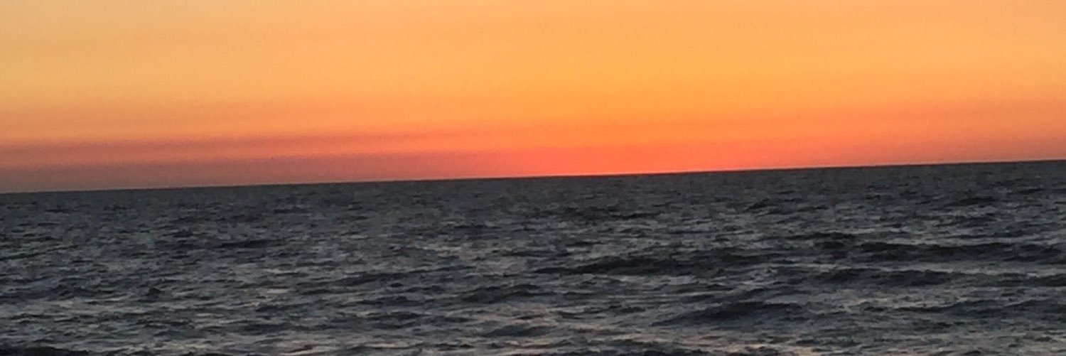 janiegreer1's profile banner image
