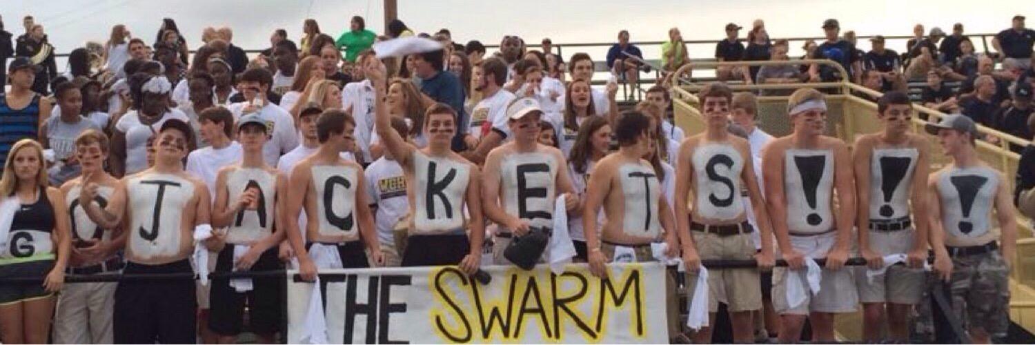 swarm_the's profile banner image