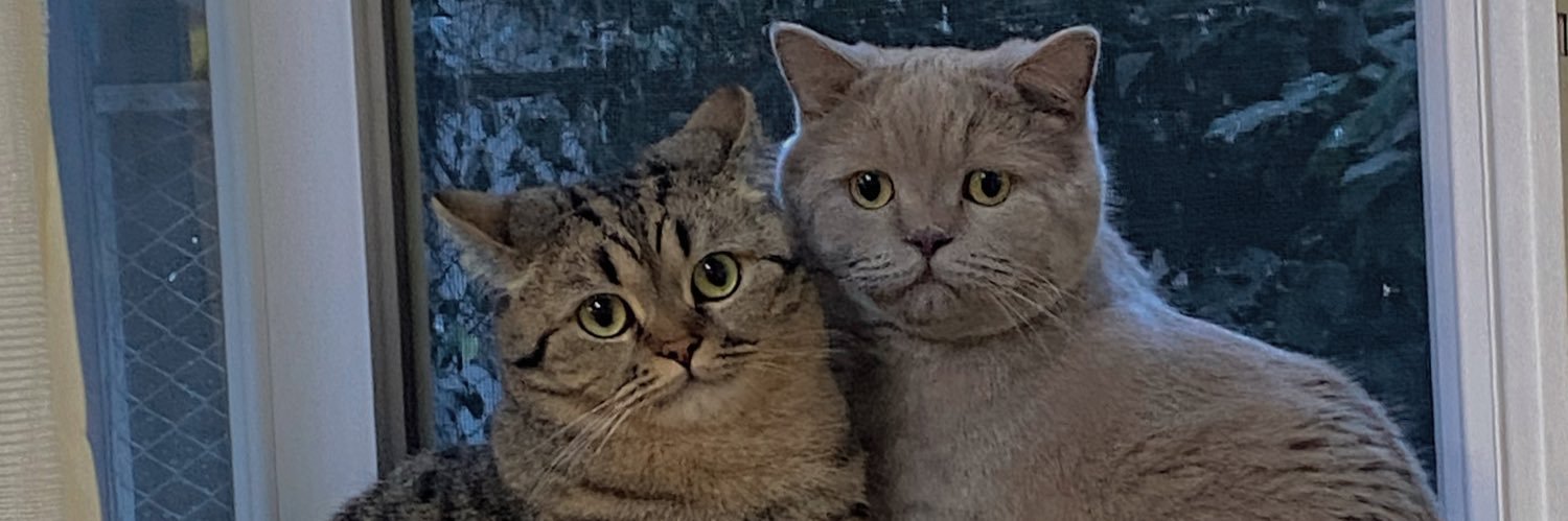 HGezginis's profile banner image