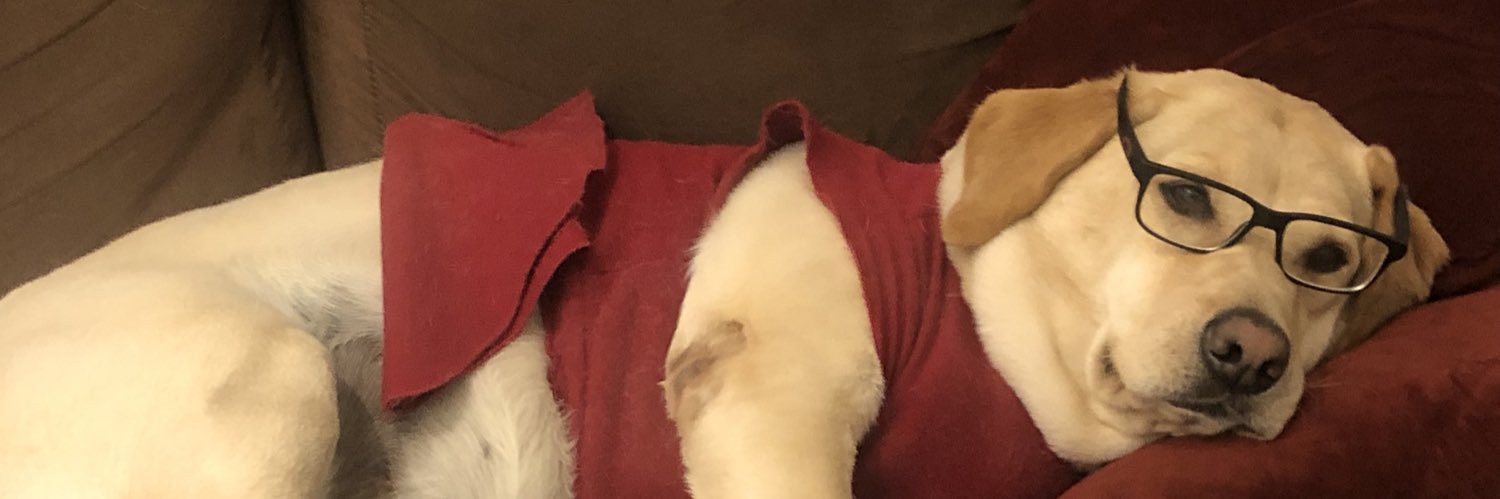 RINGEGNERI's profile banner image