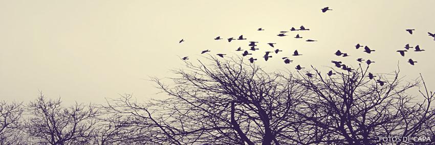 raquel_mvgr's profile banner image