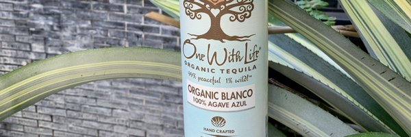 OWLtequila Profile Banner