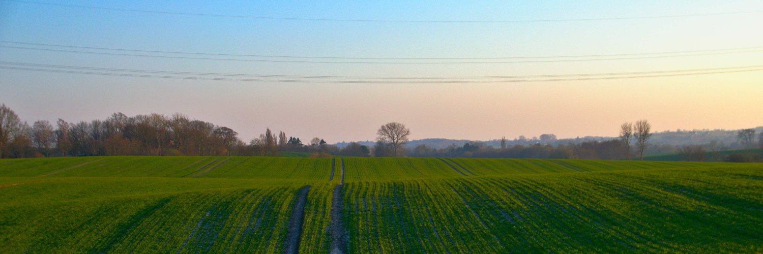 lumeissner's profile banner image