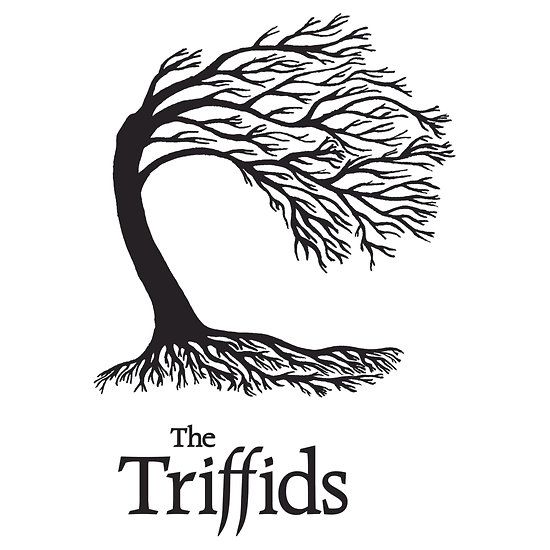 ptorfs's profile banner image