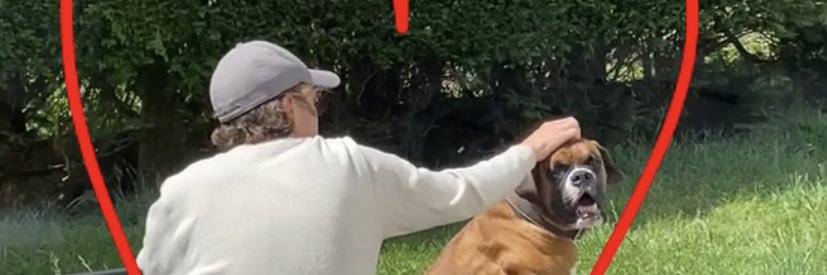 emmalbrt's profile banner image