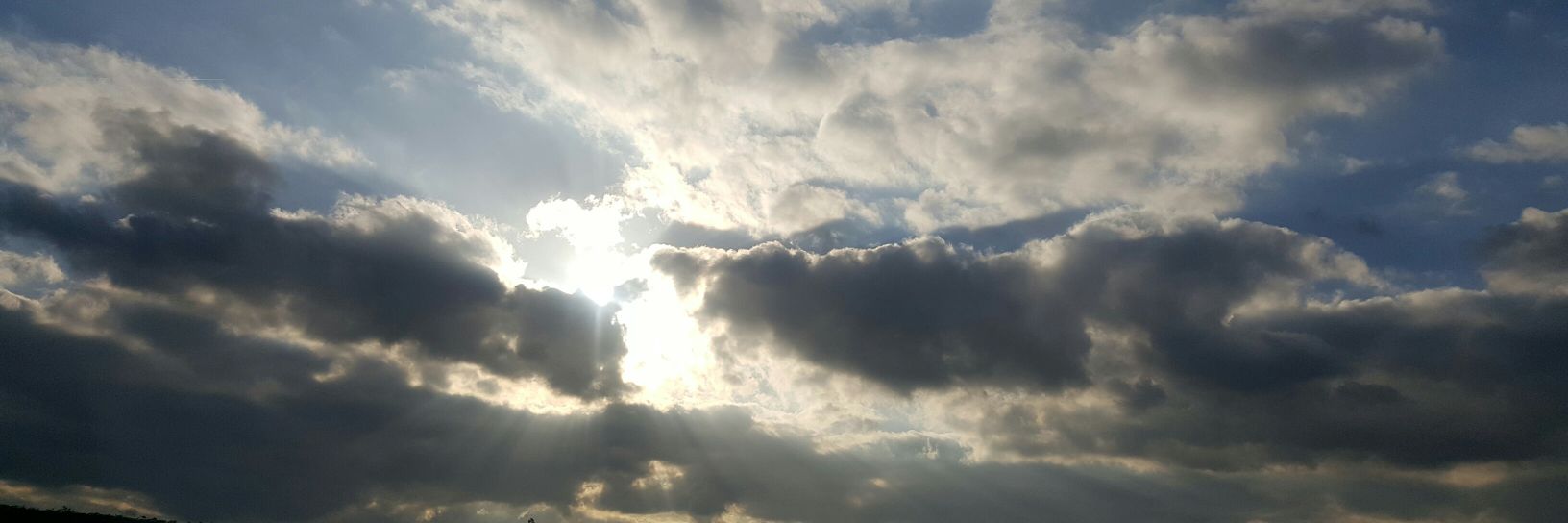 Belinda Wright banner