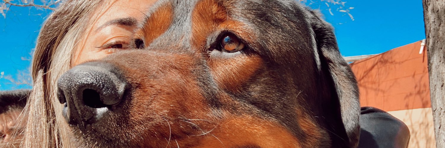 ItsSolperuchini's profile banner image