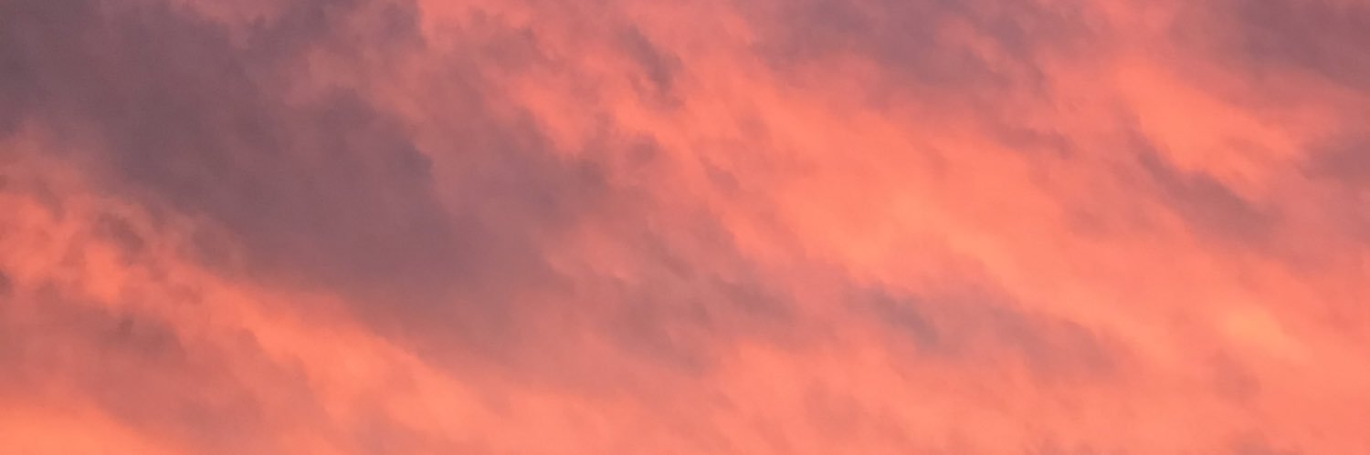 ZPrestanicola's profile banner image