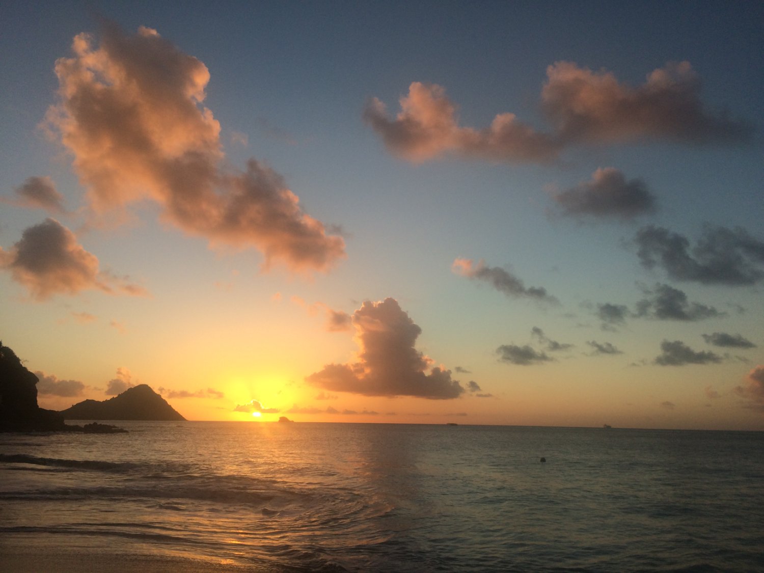 James Armitage banner