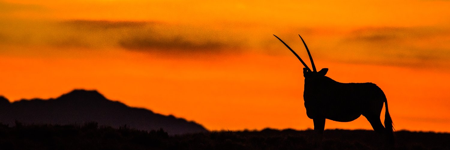 Namibia Tourism UK banner