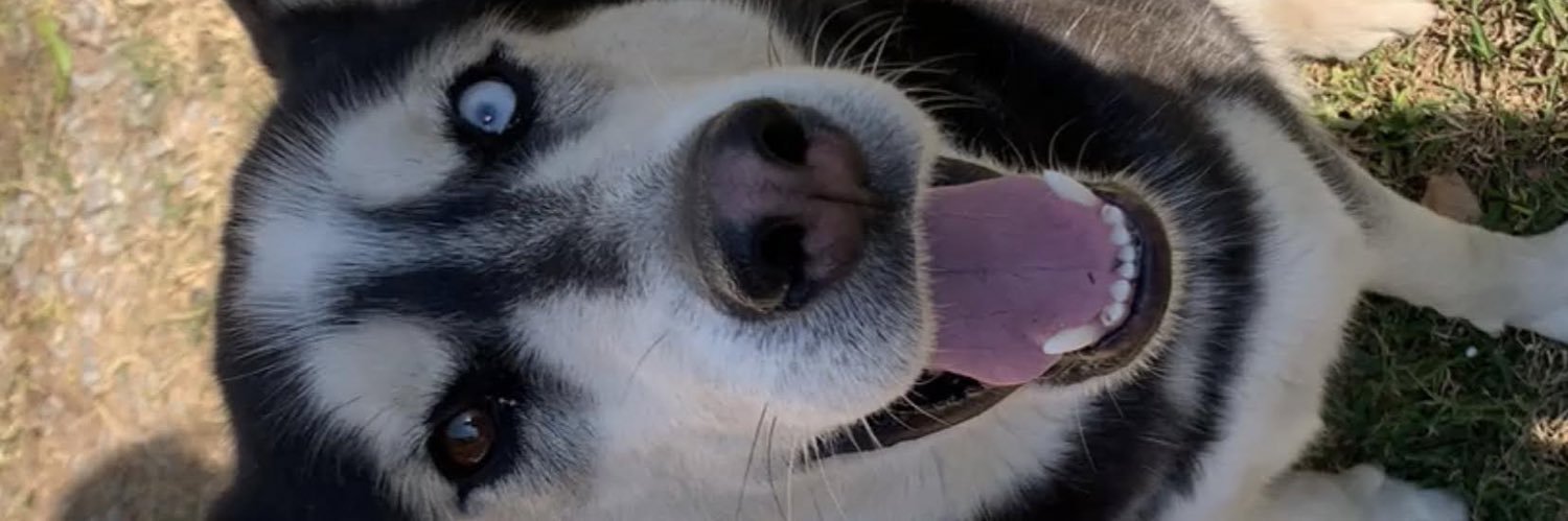 DanielaGzz242's profile banner image