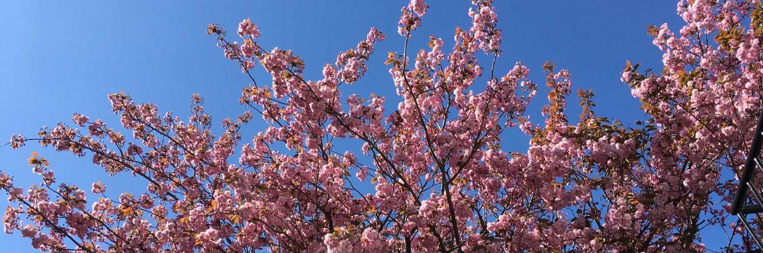 Caroline Leget banner