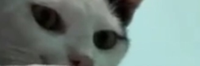 anxiousrochie's profile banner image