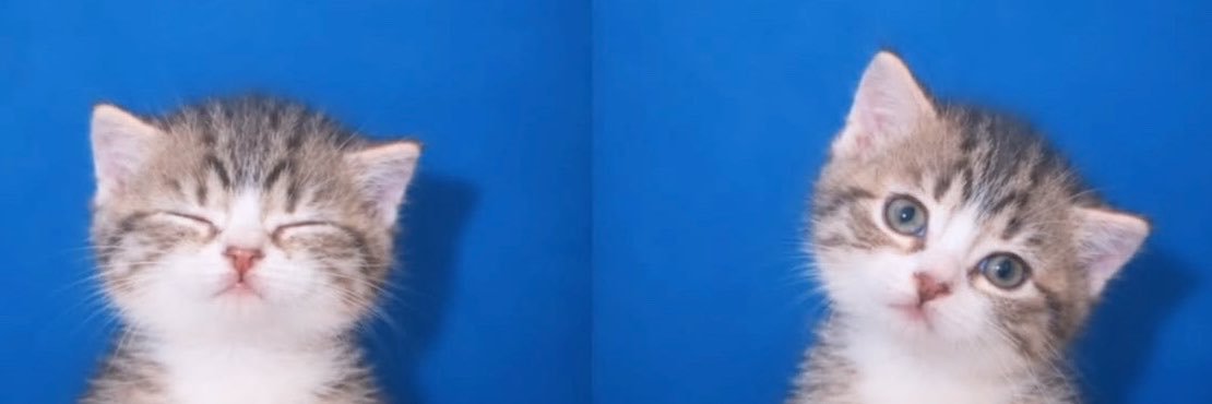chinesefail's profile banner image