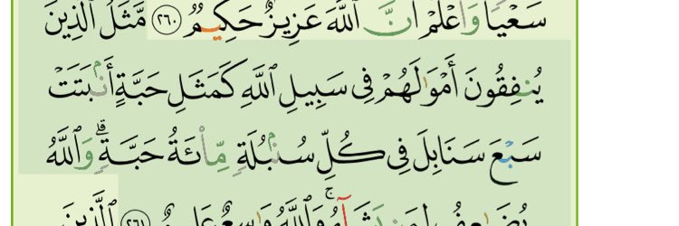 محمد اليابسي banner