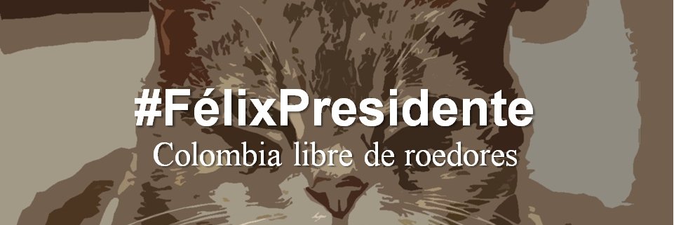 FelixXColombia's profile banner image