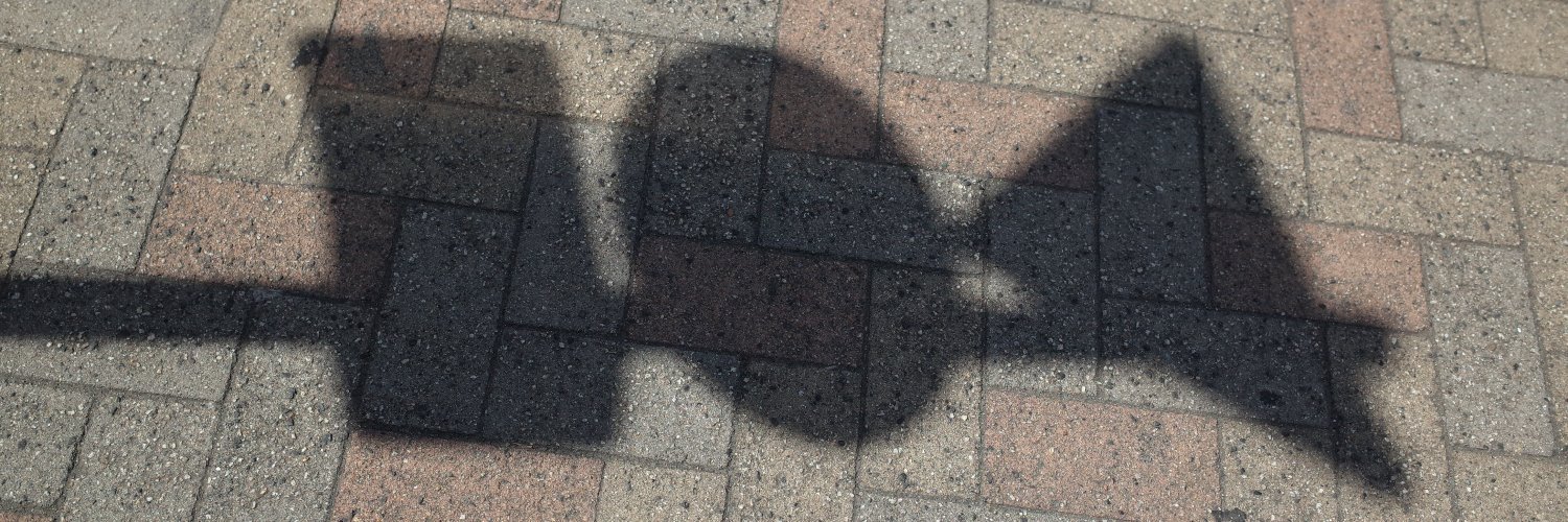 watawaha's profile banner image