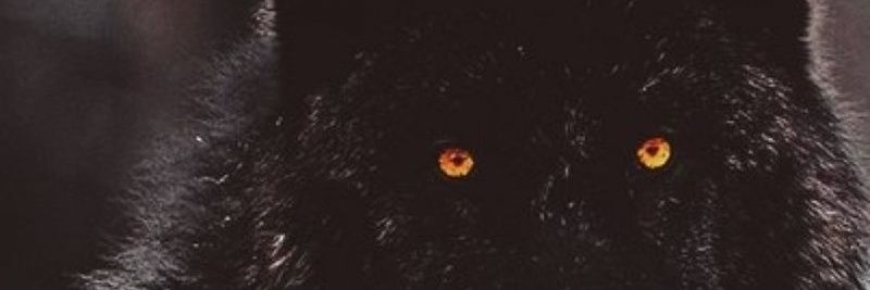 zulfanasrr's profile banner image