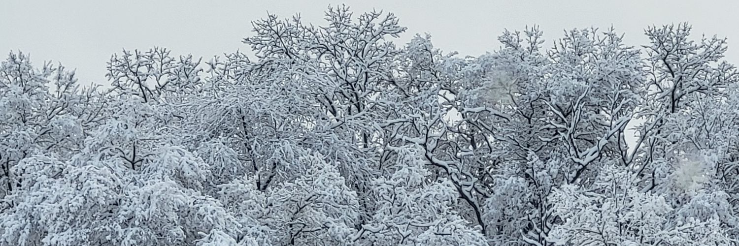 jenB_Tiny11's profile banner image