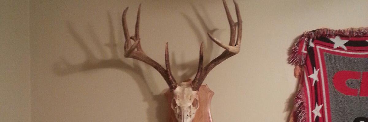 Greenus1972's profile banner image