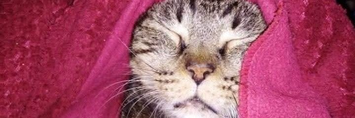 BarbPixley's profile banner image